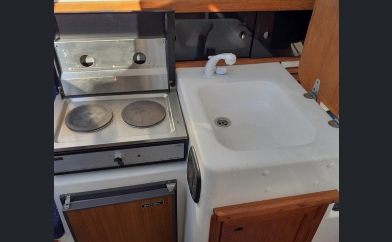 Bella Delphin-kuva-2